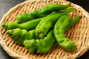 万願寺とうがらし