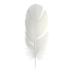 Single white feather isolated on transparent background © MH Creation House