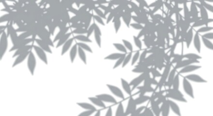 Gray leaf silhouettes against a white background in minimalist style  