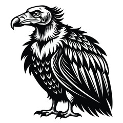 Monochromatic Vulture Illustration Majestic Bird of Prey Detailed Feathers and Sharp Talons Striking Visuals