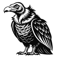 Fototapeta premium Monochrome Illustration of a Bald Vulture with Intricate Feather Details Portraying Strength and Majesty in a Stylized Vector Design