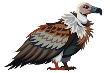 A Majestic Vulture Standing Proudly Detailed Vector Illustration With Sharp Feathers and Striking Eyes Captivating Wildlife Art