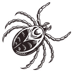 Monochrome Illustration of a Tick Parasite Detailed Black and White Drawing of an Arachnid Pest Vector Image