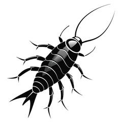 Monochrome Silverfish Illustration A Detailed Look at a Common Household Pest with Intricate Anatomy and Long Antennae