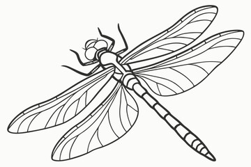 Monochrome Dragonfly Illustration with Detailed Wing Veins and Segmented Body in a Minimalist Line Art Style Depicted on White Background