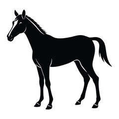 Obraz premium Elegant Silhouette of a Horse Standing Still Symbolizing Grace Power and Beauty An Emblem of Equestrian Excellence and Animal Majesty