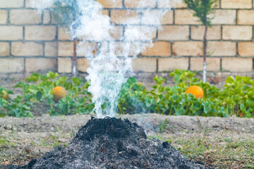 Smoke from a fire when burning dry grass in a garden plot
