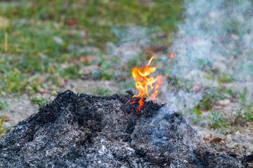Burning dry grass in the garden