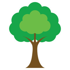 Beautiful tree Realistic on a white background.