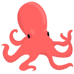 Octopus