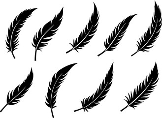 Obraz premium feathers vector illustration, feather, bird, vector, pen, quill, illustration, set, icon, plume, silhouette, pattern, wing, symbol, art, light, drawing, ink, design, fluffy, nature, writing, soft, obj