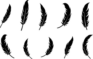 feathers vector illustration, feather, bird, vector, pen, quill, illustration, set, icon, plume, silhouette, pattern, wing, symbol, art, light, drawing, ink, design, fluffy, nature, writing, soft, obj