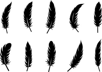 Obraz premium feathers vector illustration, feather, bird, vector, pen, quill, illustration, set, icon, plume, silhouette, pattern, wing, symbol, art, light, drawing, ink, design, fluffy, nature, writing, soft, obj