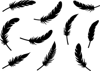 Obraz premium feathers vector illustration, feather, bird, vector, pen, quill, illustration, set, icon, plume, silhouette, pattern, wing, symbol, art, light, drawing, ink, design, fluffy, nature, writing, soft, obj