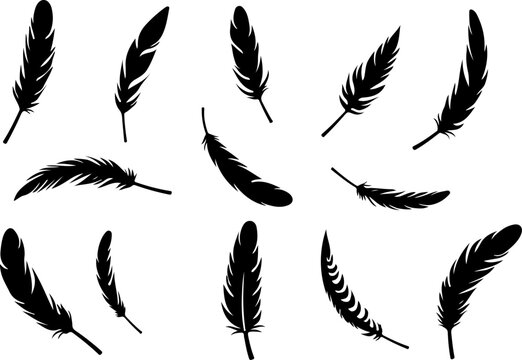 feathers vector illustration, feather, bird, vector, pen, quill, illustration, set, icon, plume, silhouette, pattern, wing, symbol, art, light, drawing, ink, design, fluffy, nature, writing, soft, obj