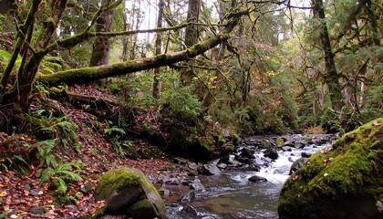 Obraz premium Lush forest stream scene (1)