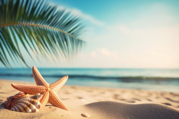 Seaside summer beach outdoors starfish horizon.