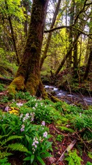 Fototapeta premium Lush forest stream with wildflowers