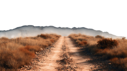 Desert Road Landscape, isolated on transparent background