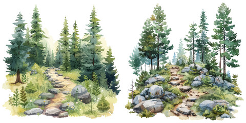 forest trail lanscape watercolor vector illustration © Dar