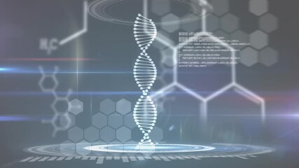 Animation of dna strand spinning and medical data processing over dna strand - Powered by Adobe