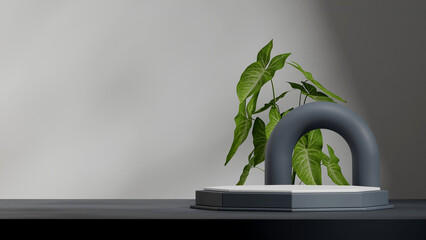in landscape arch shape, 3d render blank mockup black color hexagonal shape