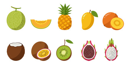 Colorful collection of tropical and exotic fruits in flat style