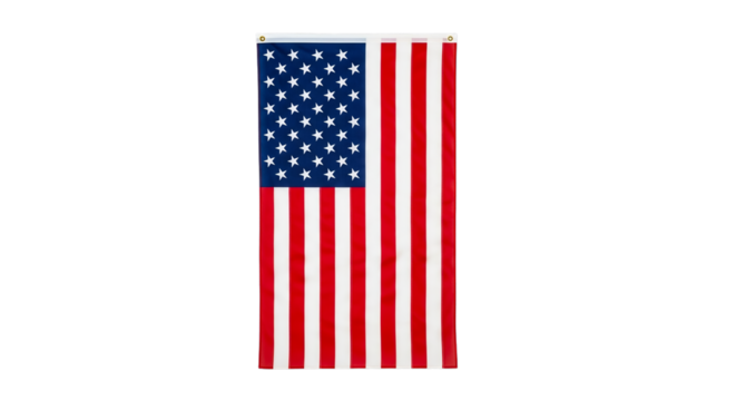 Luxurious oval gold plaque featuring a brilliant, polished surface and delicate beaded trim, perfect for elevating diverse design compositions and elegant branding applications