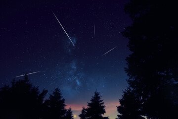 Milky Way stars and rural countryside tree silhouettes