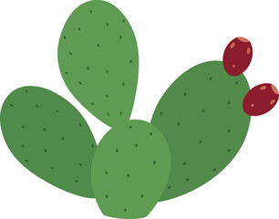 Prickly pear cactus green flat illustration desert plant fruit vector © azad