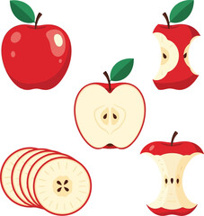 Fresh apple halves slices cores and eaten fruit isolated on white vector