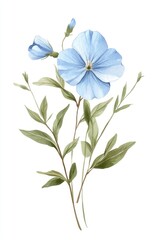 Naklejka premium A Baby blue wildflower art illustration watercolor.