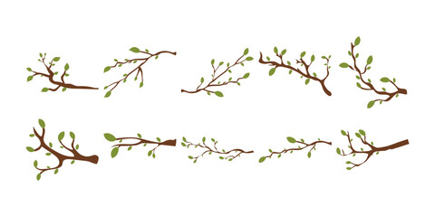 Tree Branch Plant