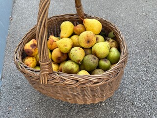 Panier de Poires