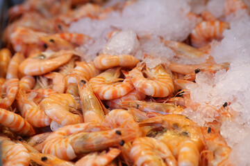 Fresh shrimp displayed on ice at a seafood market
