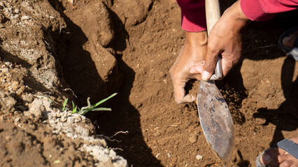 The excavation of Tondowongso temple. This historical site is estimated to date from the 11th or 12th century and is located in Kediri, East Java.