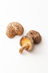 干し椎茸　白バック