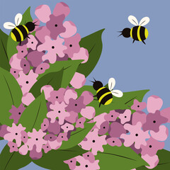 Summer art. Vector illustration of hand drawn lilac flowers and bees. Cute bee pollinate Summer flower. Perfect greeting card cover print and child room interior poster template. 