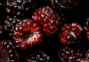 Fresh blackberries as background. Macro