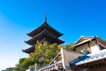 Fototapeta premium 八坂神社の風景