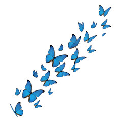 Group of Blue Butterflies Flying on White Background Creating Swarm Pattern