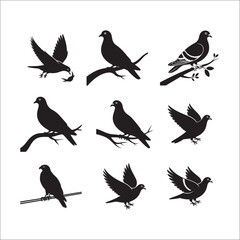 A charming cartoon set of cute bird illustrations featuring a flying duck, a funny pigeon, and a stylized owl drawing