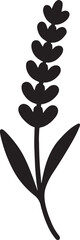 Lavender flower silhouette vector illustration, aromatic floral design perfect for logo, icon, and decoration.