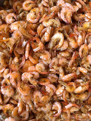 fresh shrimps on the market
