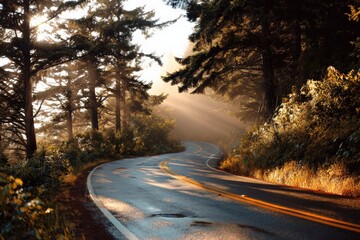 Fototapeta premium Sunbeams streaming through trees illuminate a winding road, creating a picturesque scene in the forest during the tranquil morning hours
