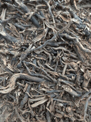 Intricate Root System Texture: Dark Brown Wood & Earth Background