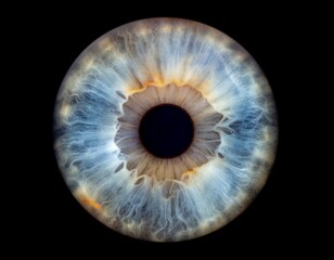 Macro photography capturing the intricate details of a beautiful human blue iris with a golden center, a mesmerizing universe within the eye