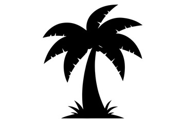 Obraz premium silhouette of palm tree