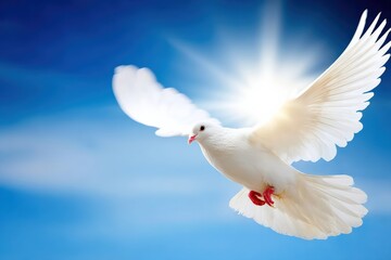 White dove flying with wide open wings in a blue sky with sun rays, representing peace, hope, and spirituality
