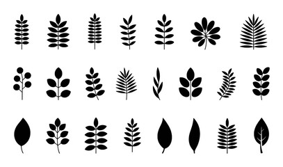 Collection of Black and White Leaf Silhouettes and Botanical Illustrations